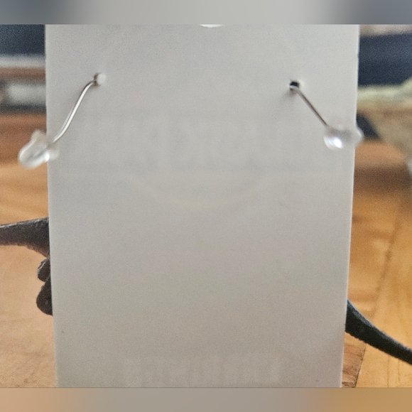 Dinosaur Earrings (Jurassic Park) - Picture 3 of 5